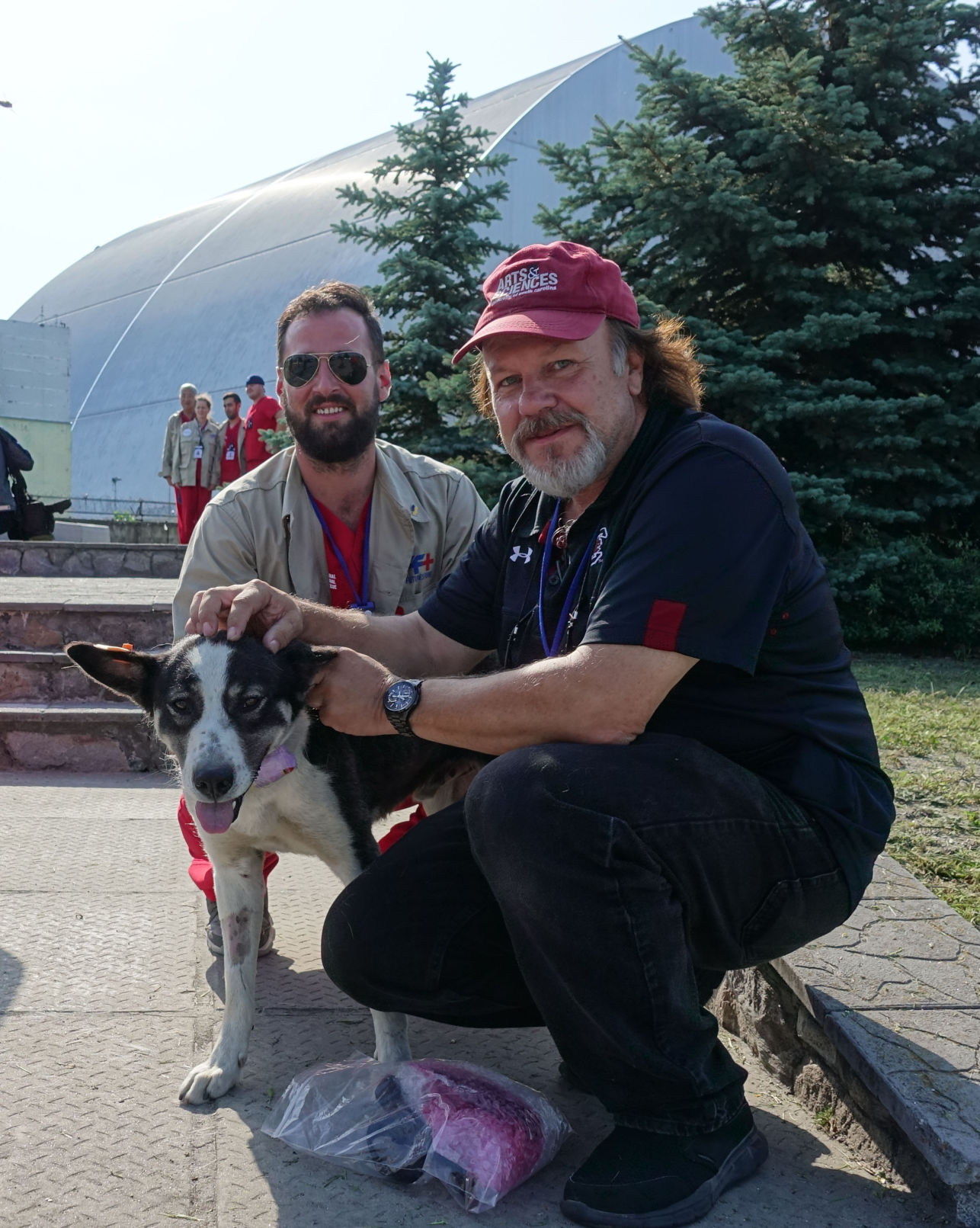Mousseau Chernobyl dogs